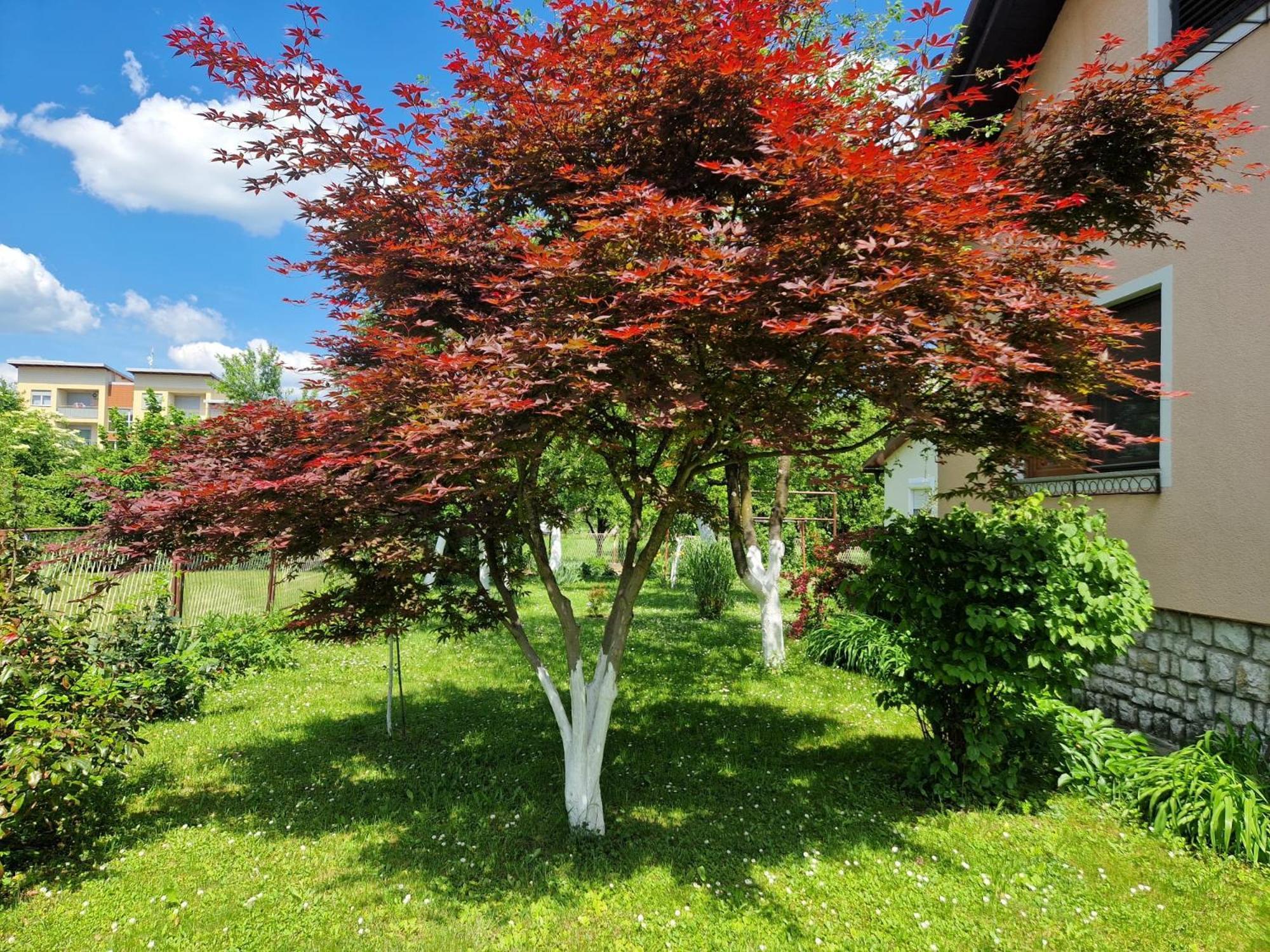 Studio Apartman Marica - Ogulin, Hrvatska Екстериор снимка